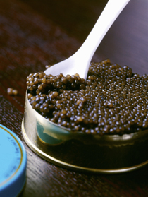 Siberian Sturgeon Caviar